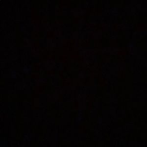 Meet your Posher, Audrey